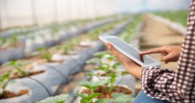 Venda mais em Ribeirão Preto com Google Ads para agroindústria